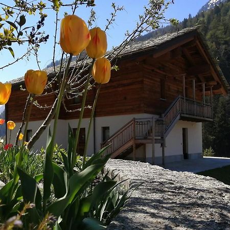 B&B Lorelei Гресоне Сен Жан Екстериор снимка